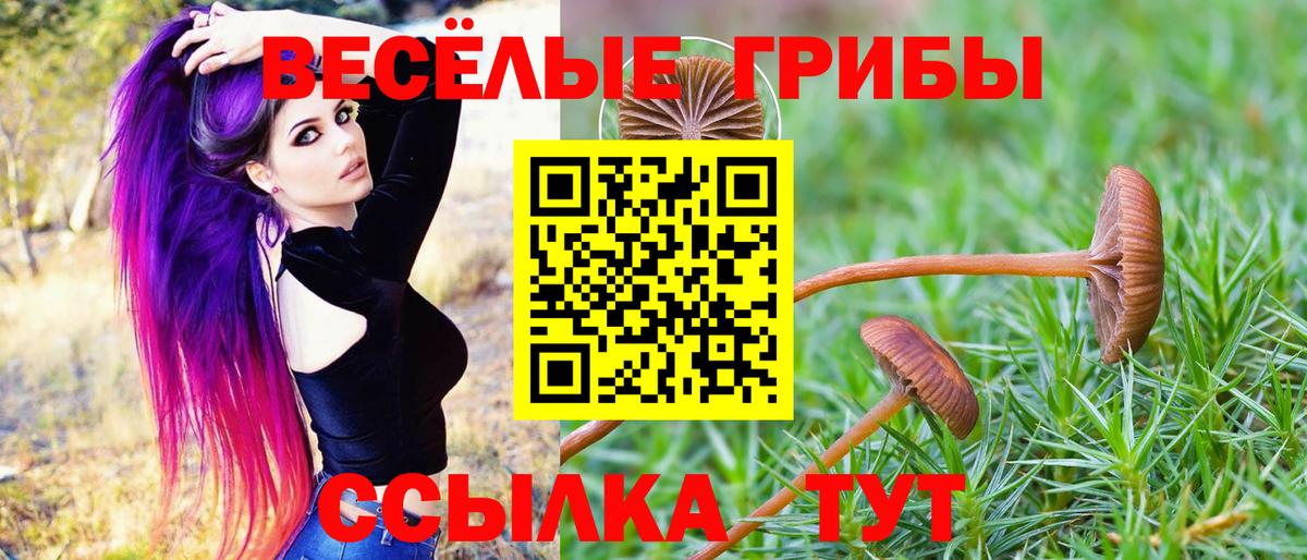 Псилоцибиновые грибы MAGIC MUSHROOMS  Псилоцибиновые грибы ЛСД  Усть-Кут  Вход с VPN 