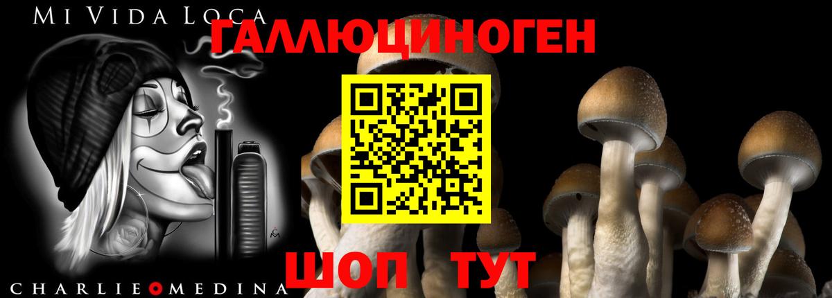 Галлюциногенные грибы Cubensis Усть-Кут
